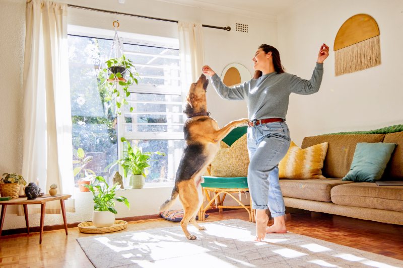 Young woman dancing with her dog in the living room at home 